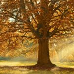 Viel Spaß in den Herbstferien!