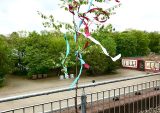 Maibaum1